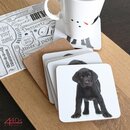 Mars & More 6-teiliges Glas-Untersetzer-Set Labrador |...