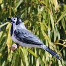 Tangoo Keramik-Vogel Bachstelze auf Holz hngend | TA-17002