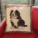 Mars & More Gobelin Kissen Berner Sennenhund ca. 45x45 cm...