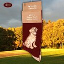 Wrendale Designs Herren Socken Labrador Good as Gold |...